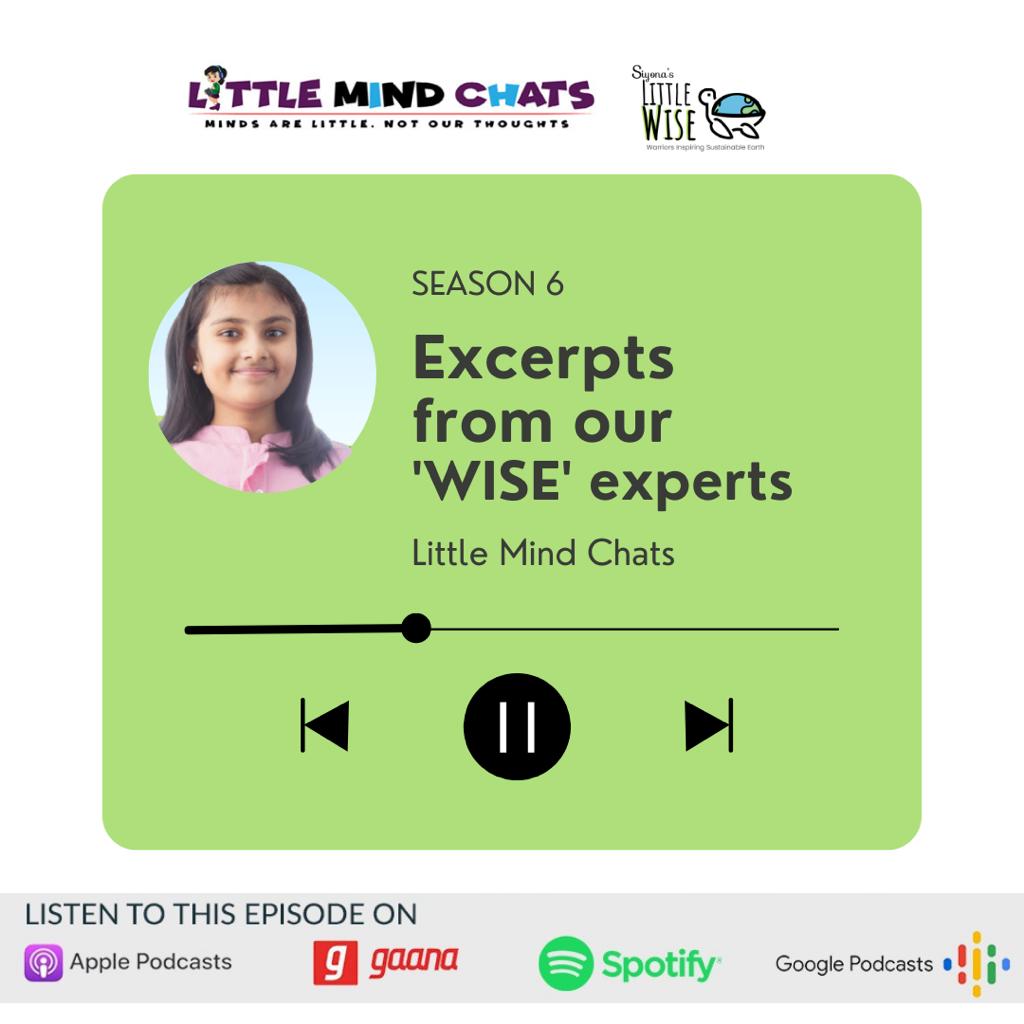 115: Little-WISE excerpts from Experts